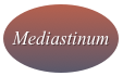 
Mediastinum